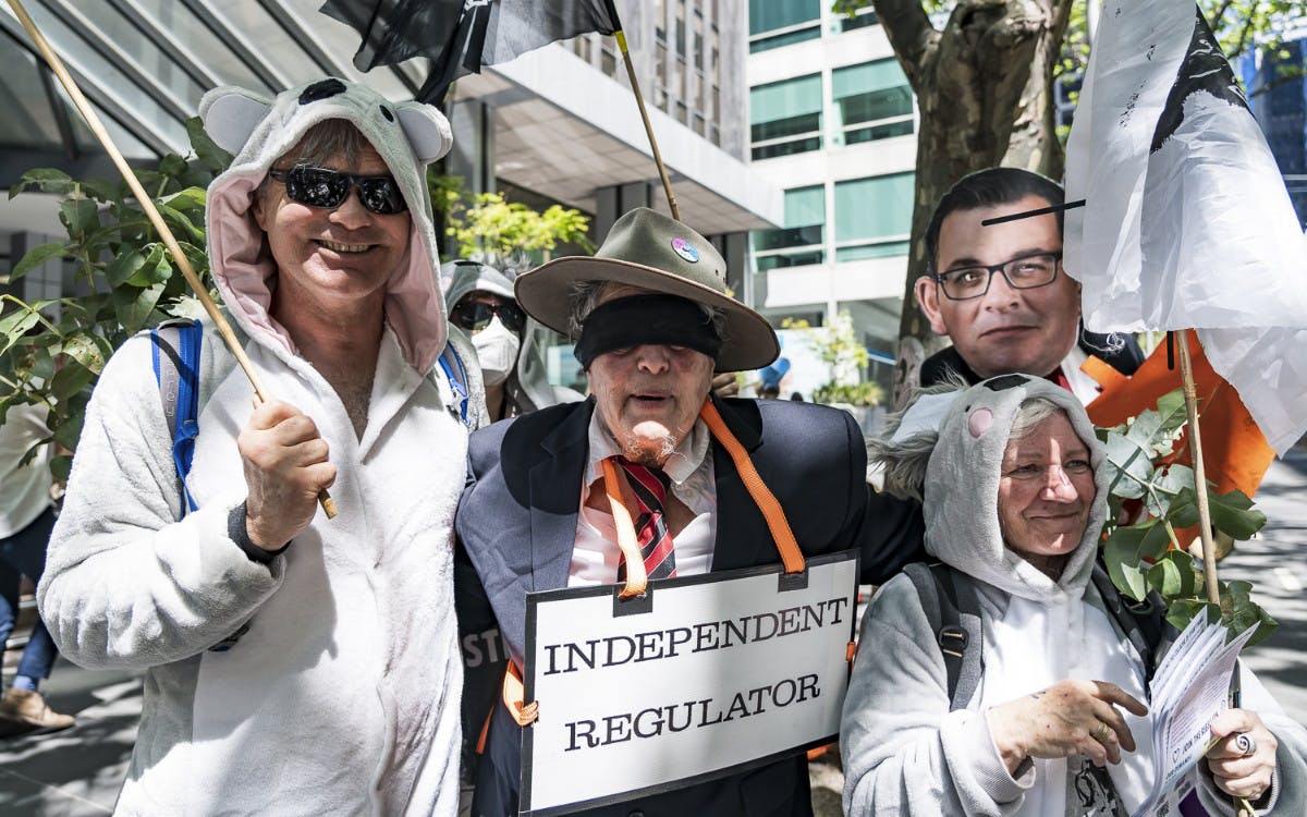 Protesters dressed as koalas and the Conservation Regulator