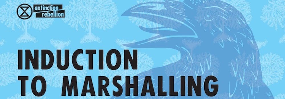 Induction to Marshalling workshop