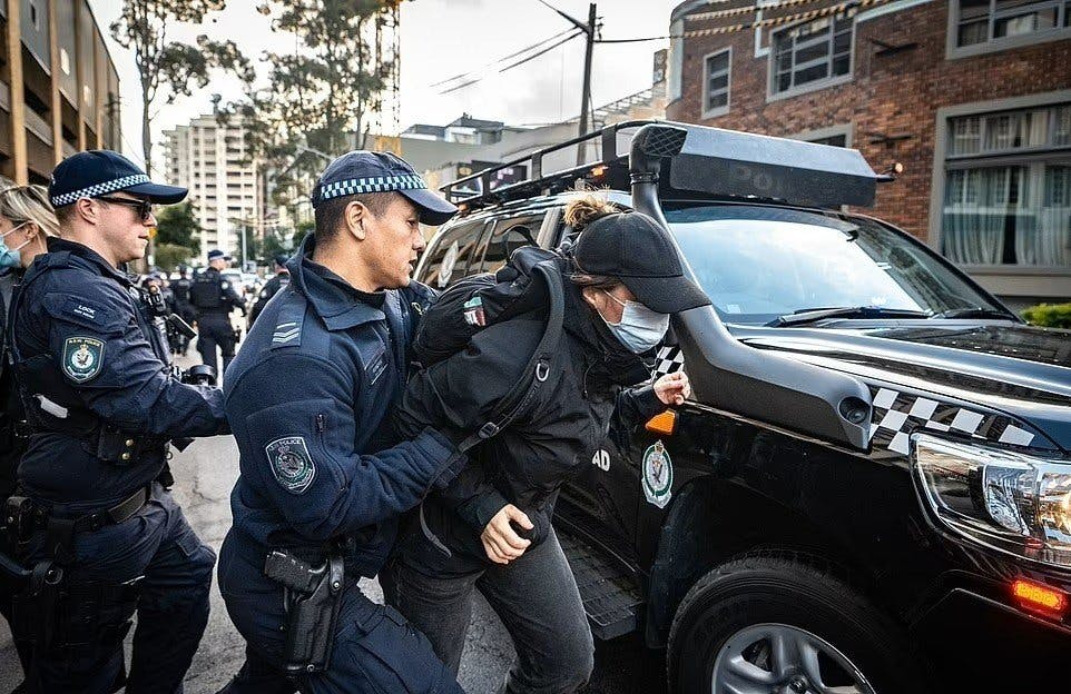 BA activist pushed into police car