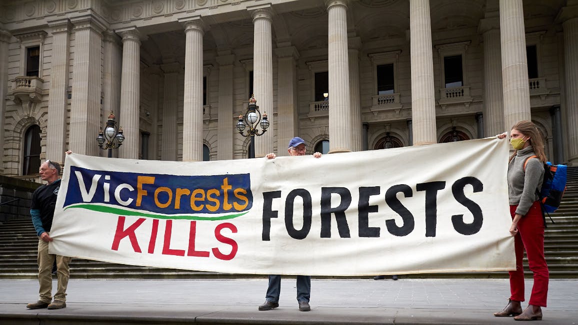 Sign being held reading 'VicForests Kills Forests'