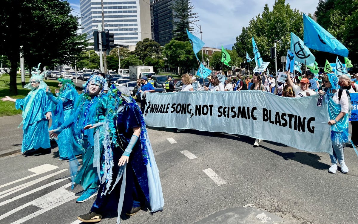 Blue rebels lead the Whale Song action