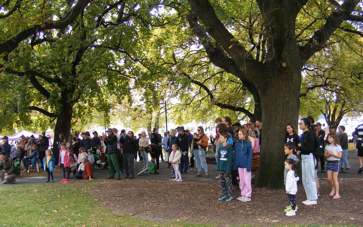 Earth Day Tasmania participants