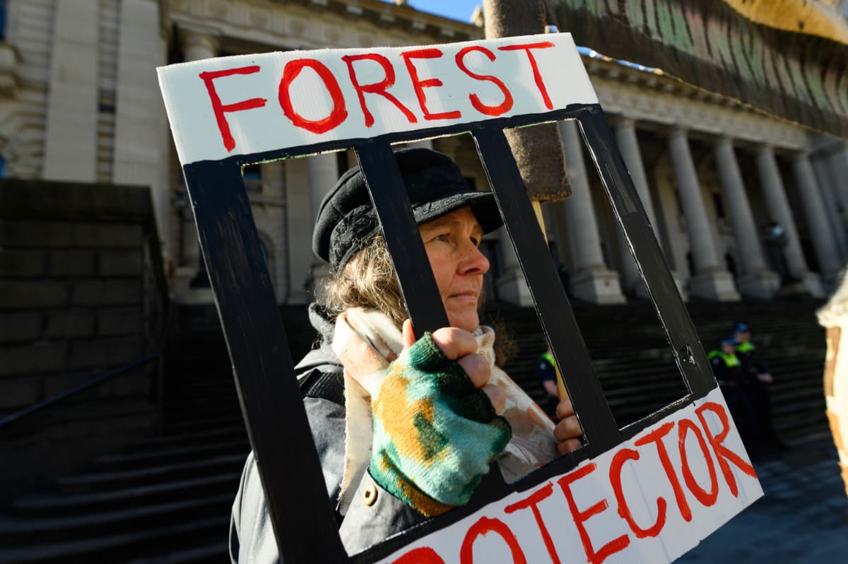 Forest protector with symbolic prison bars