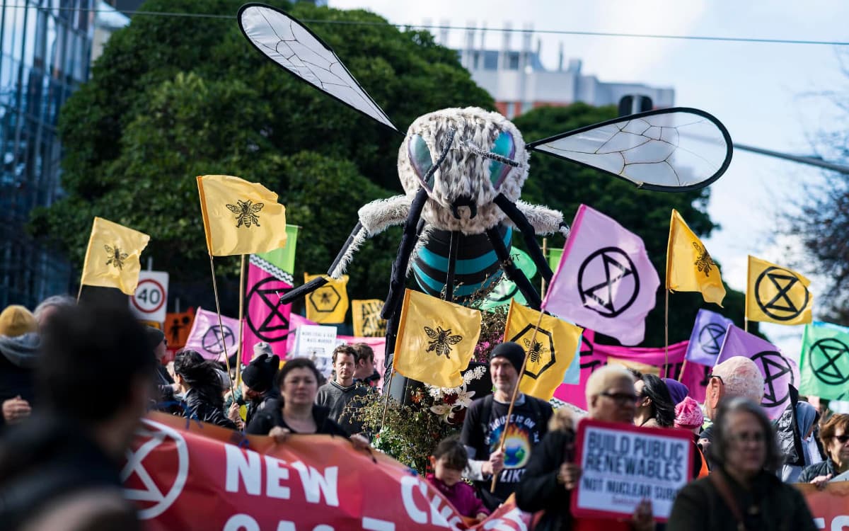 Miss Beehave at the Slow March for Climate