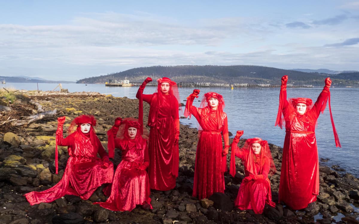 Tassie Red Rebel brigade on the shoreline near salmon farms