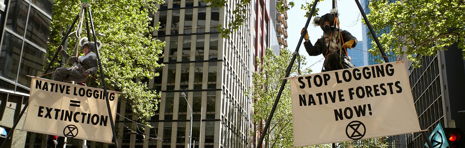 Rebels in koala costumes hanging from giant tripods