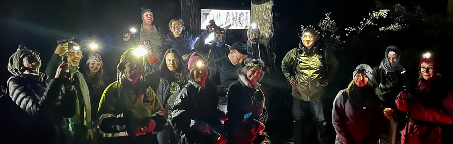 Nighttime survey for gliders in the Toolangi forest