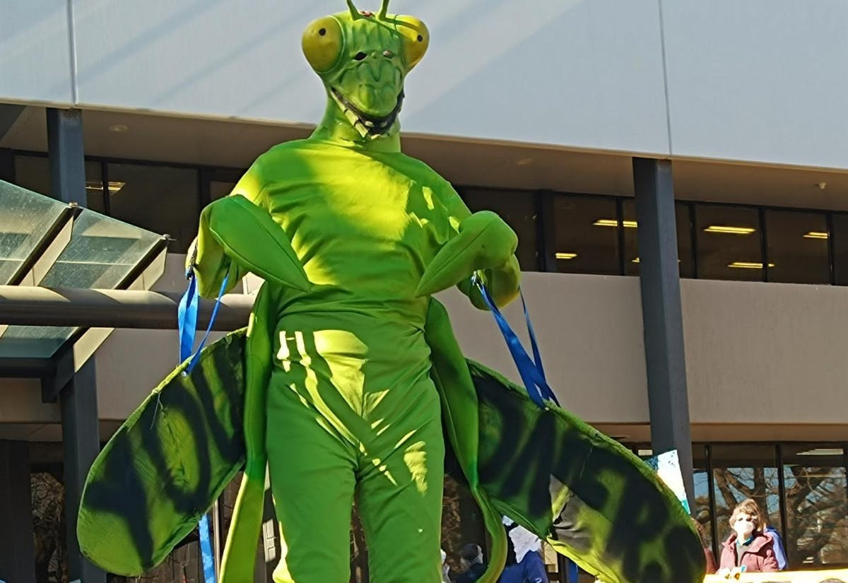 Climate protester in insect costume in Sydney