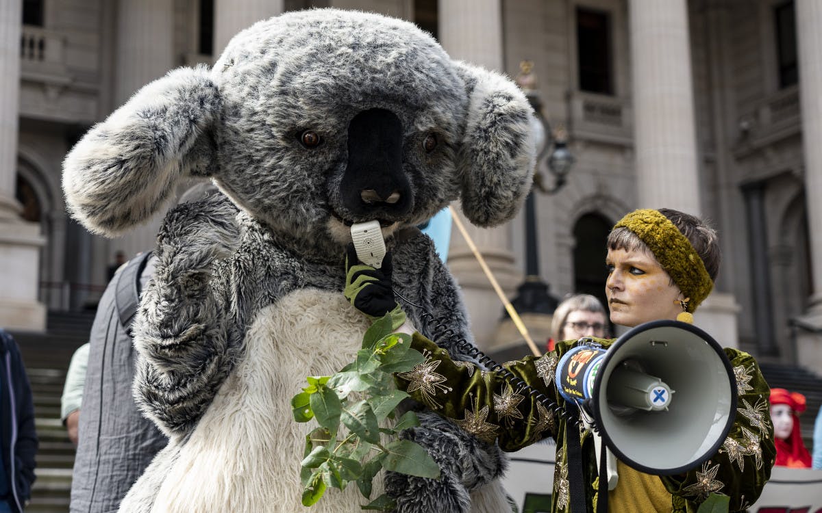 National Threatened Species Day rally: Australia’s shameful record