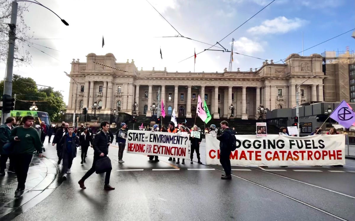 Banners at the forest rally outside Victoria's Parliament