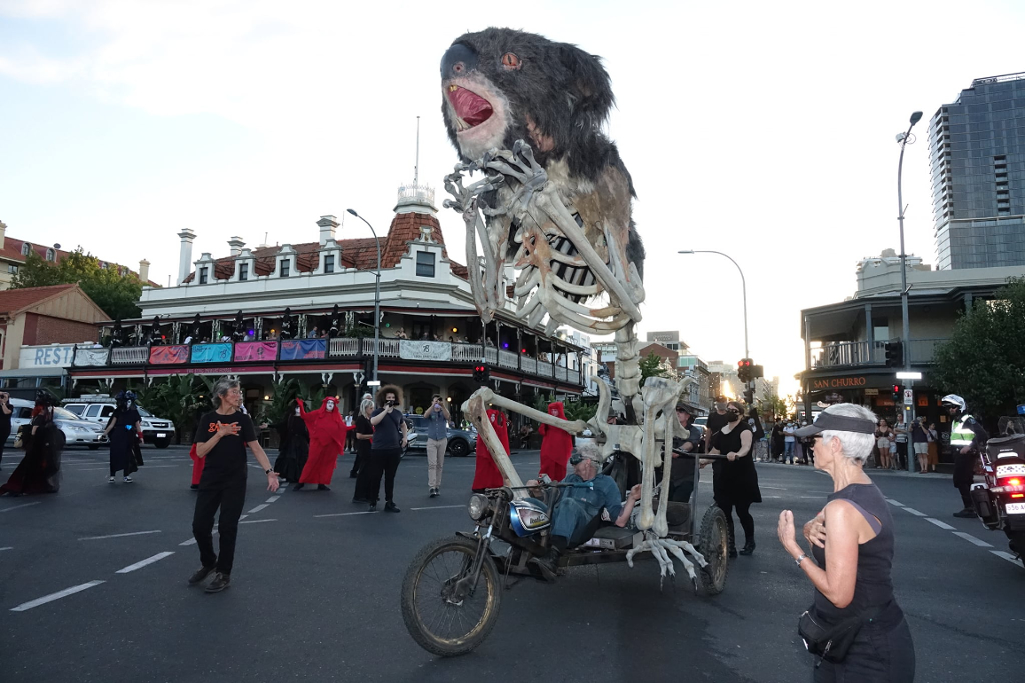 Blinky in Adelaide