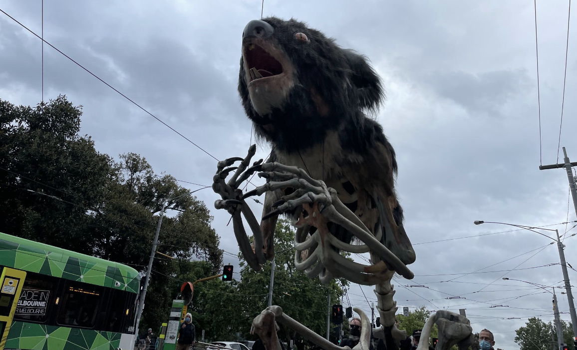 Melbourne Groups Rally for all Life and Habitat