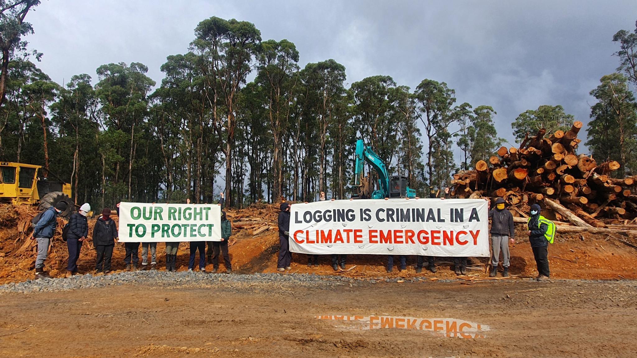 Peaceful protesters with banners at forest walk-in