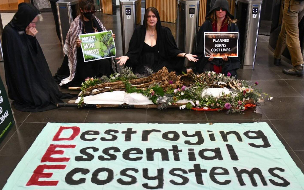 Protest in Melbourne a prelude to nationwide march for forests