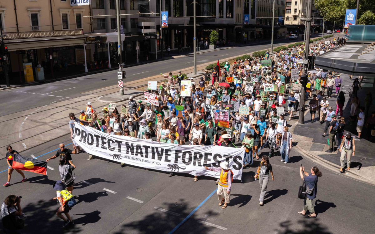 A march in Adelaide was part of the national day-of-action