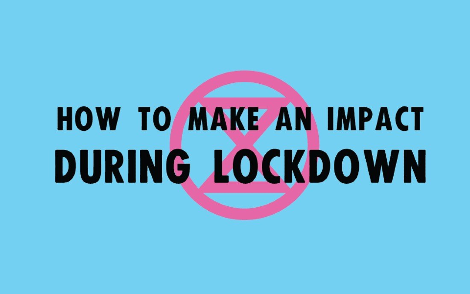 How to make an impact during lockdown