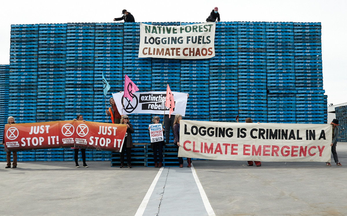 Rebels on and in front of a massive pile of Chep pallets