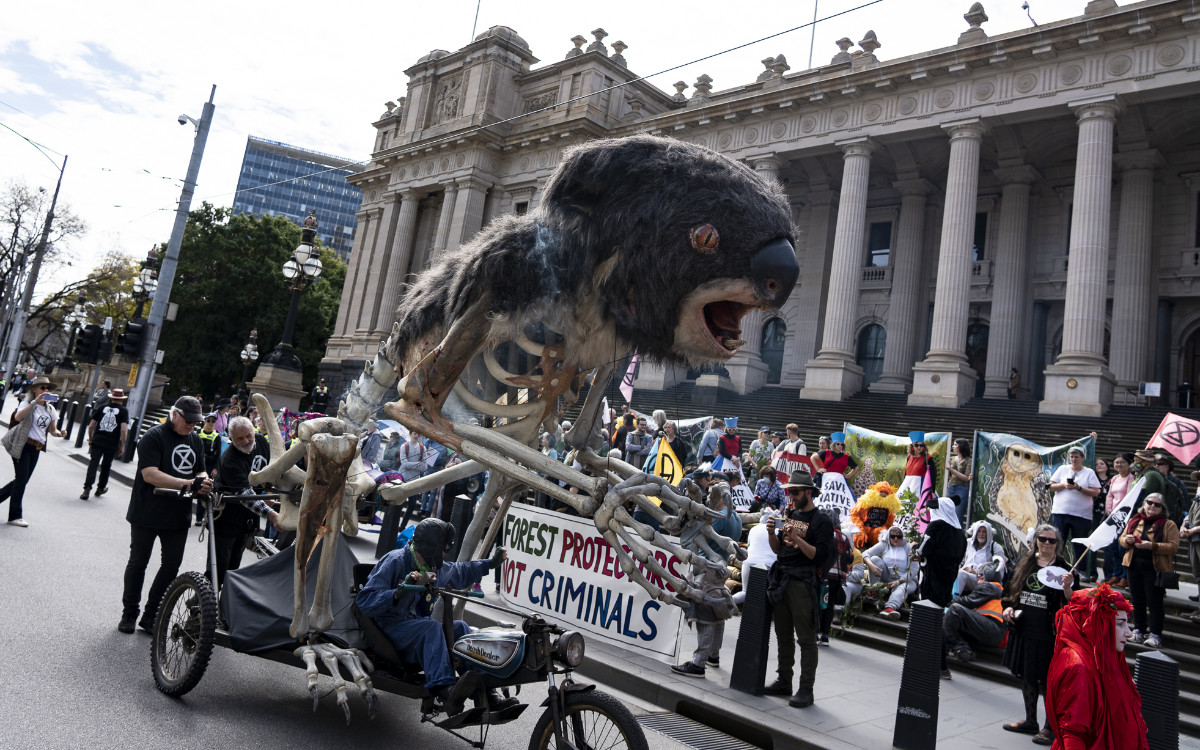 Blinky the bushfire koala in front of Parliament House