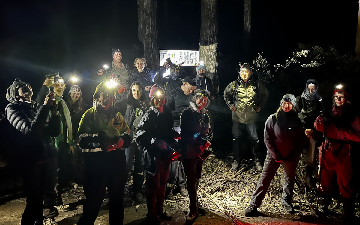 Nighttime glider survey in Toolangi Forest
