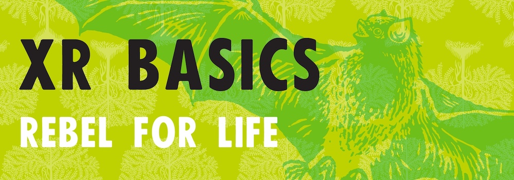 XR Basics workshop XR Basics workshop