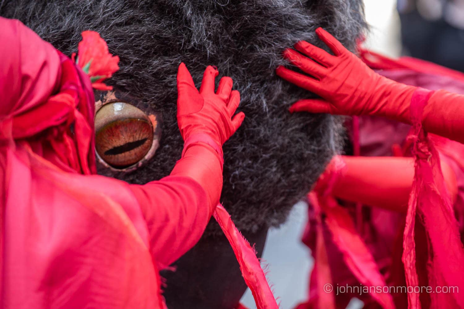 Red Rebels and Blinky the fire-affected koala