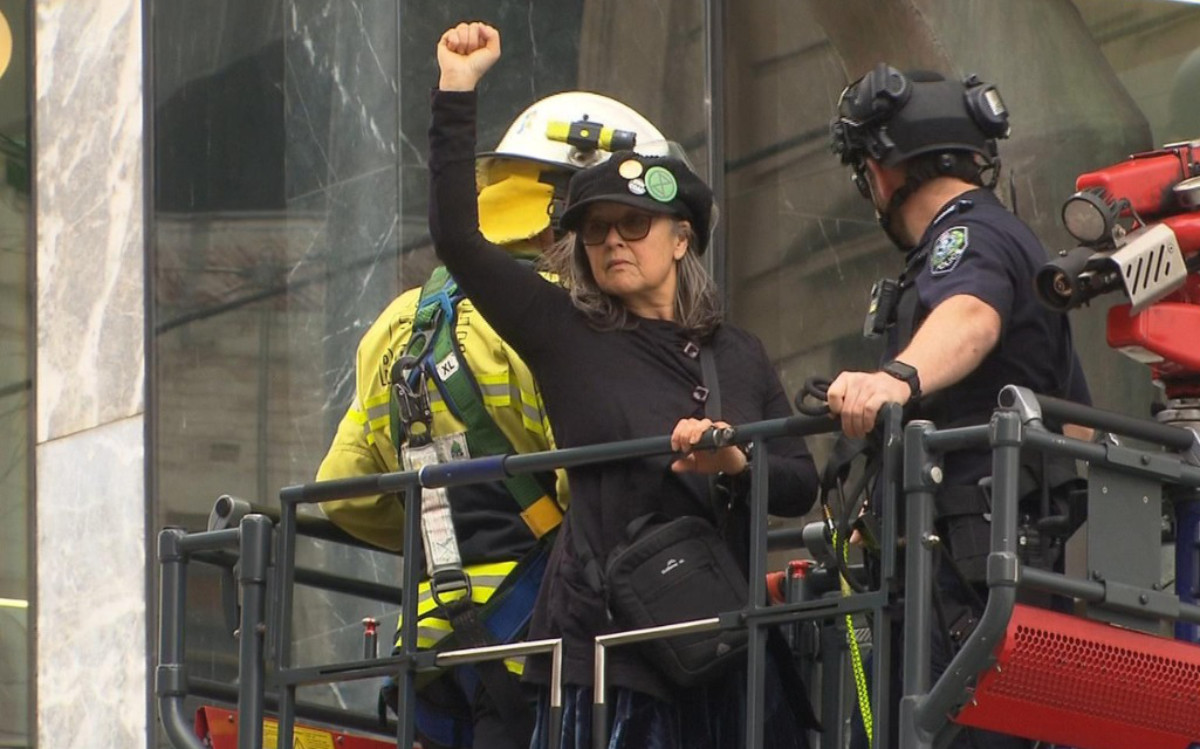 Rebel being brought down from roof